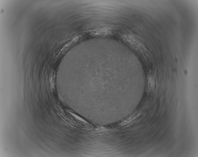 X0000085221250200703231524