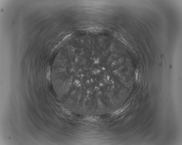 X0000085221251200703231524