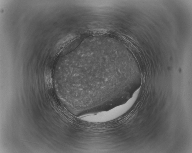 X0000085221252200703231523