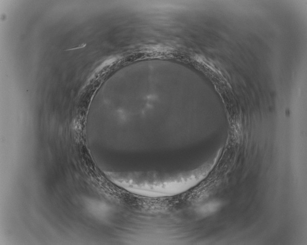 X0000085221254200703231523