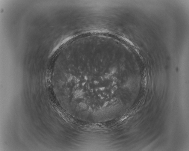 X0000085221255200703231523