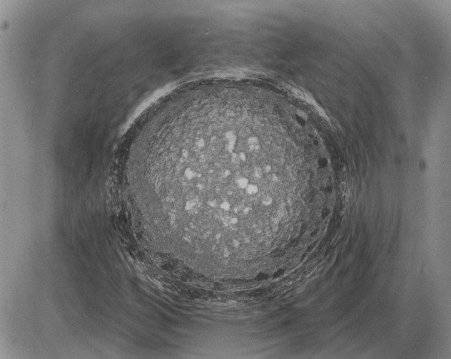 X0000085221256200703231523