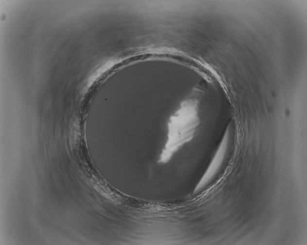 X0000085221263200703231523