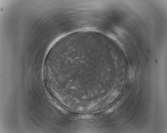 X0000085221278200703231523