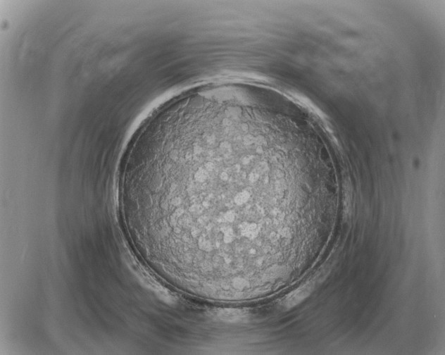 X0000085221280200703231523