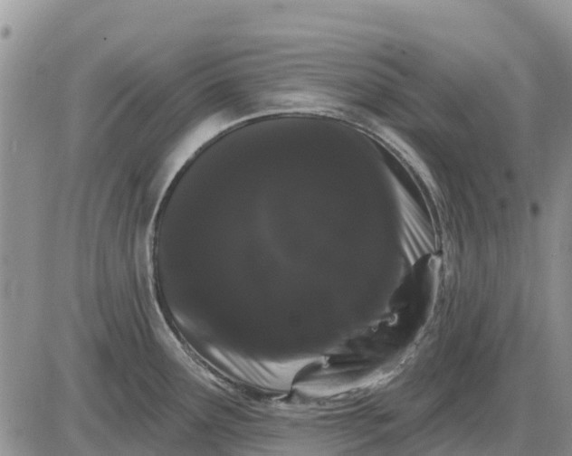X0000085221291200703231523