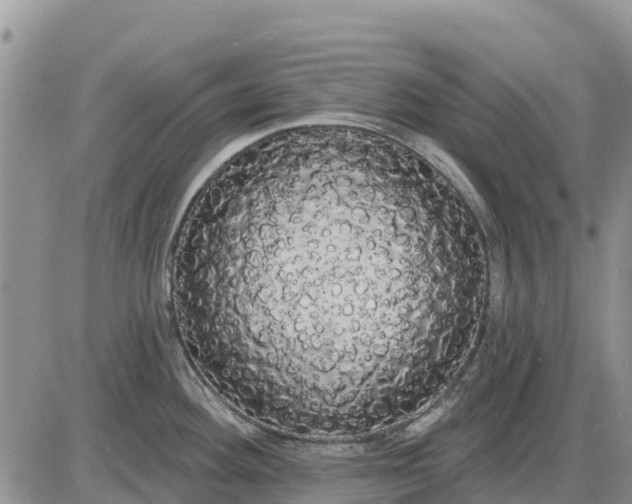X0000085221292200703231523