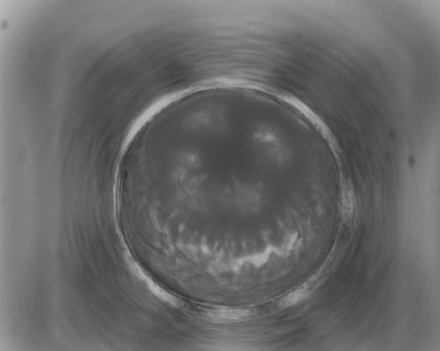 X0000085221294200703231523