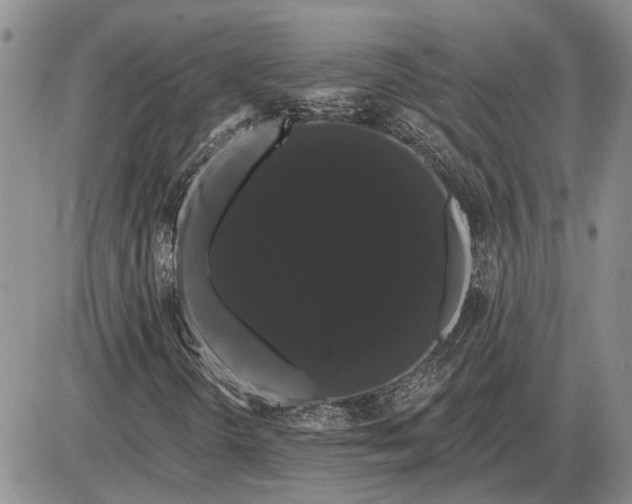 X0000085221298200703231522