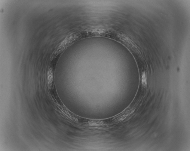 X0000085221299200703231522