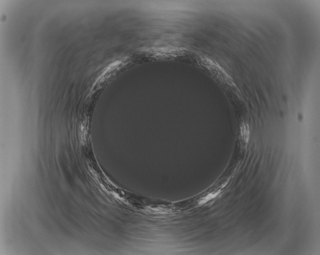X0000085221300200703231522