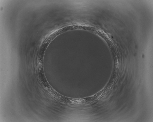 X0000085221303200703231522