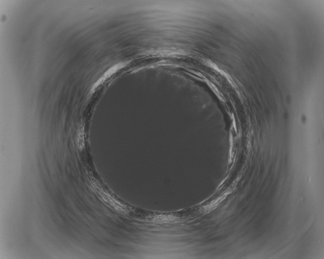 X0000085221306200703231522