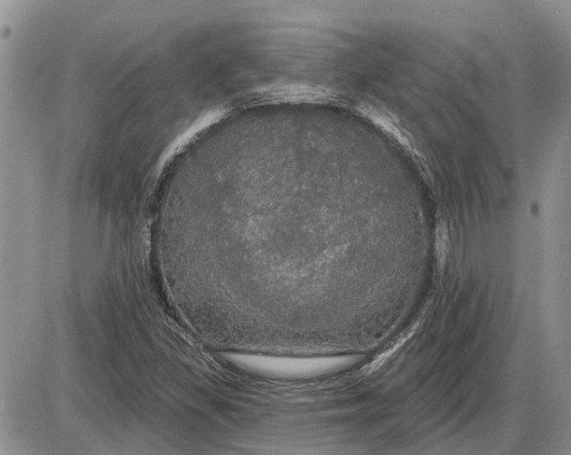 X0000085221309200703231522