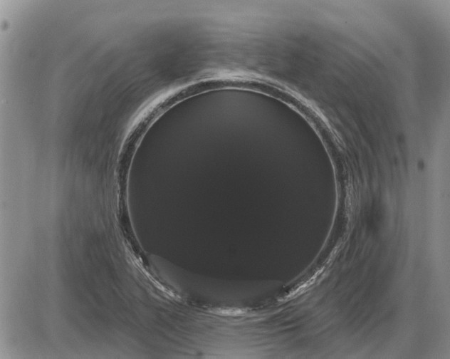 X0000085221319200703231522
