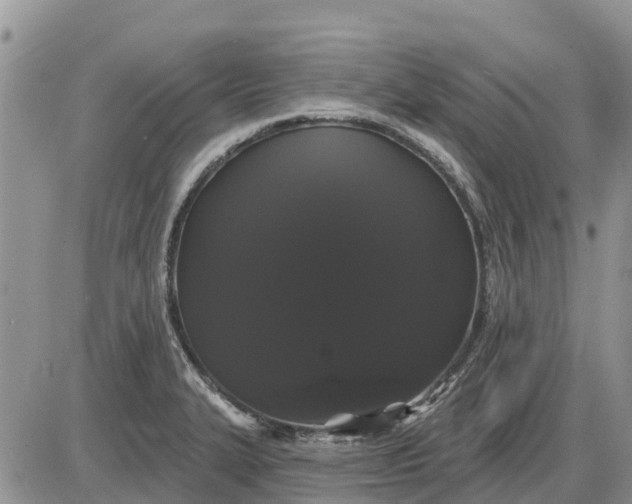 X0000085221327200703231522