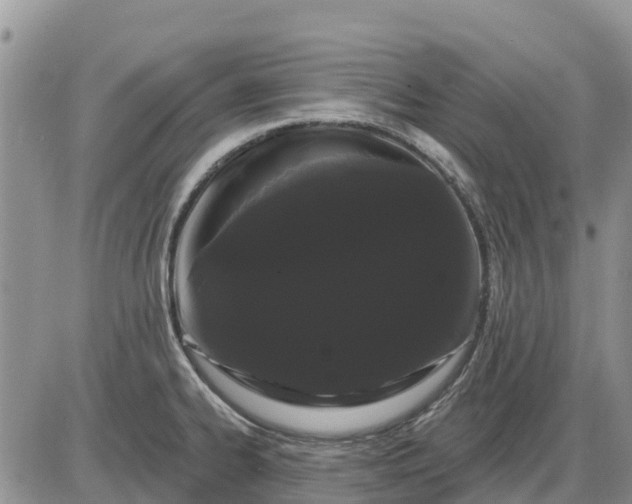 X0000085221334200703231523