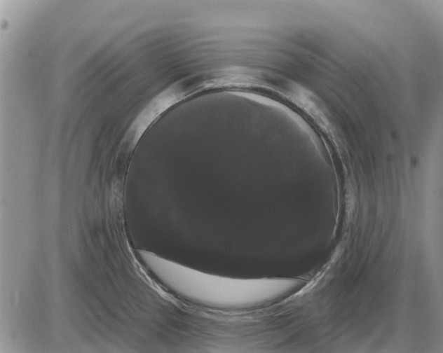 X0000085221337200703231523