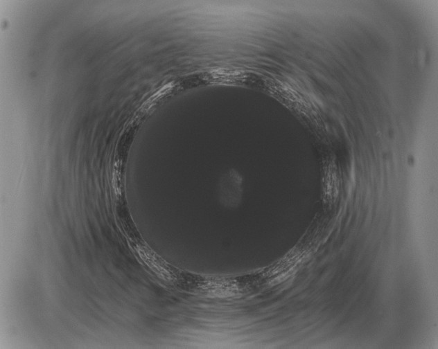 X0000085221346200703231522