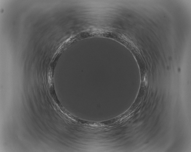 X0000085221348200703231522