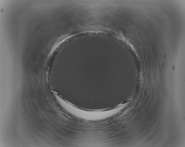 X0000085221352200703231522