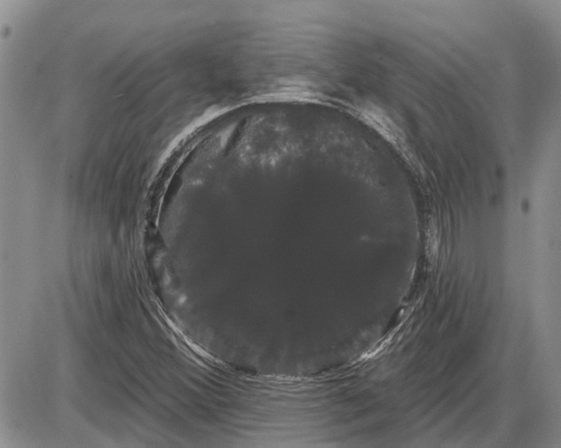 X0000085221356200703231522