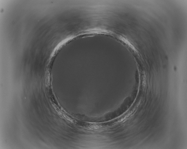 X0000085221358200703231522