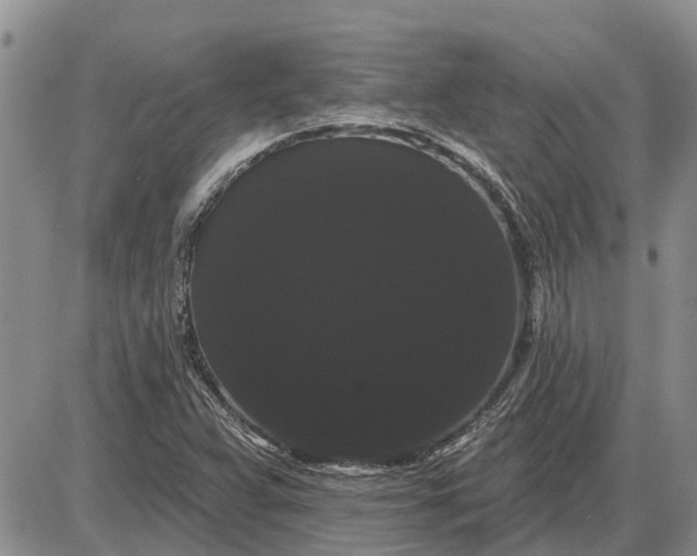 X0000085221359200703231522