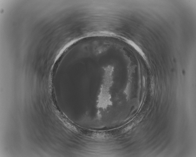 X0000085221364200703231522