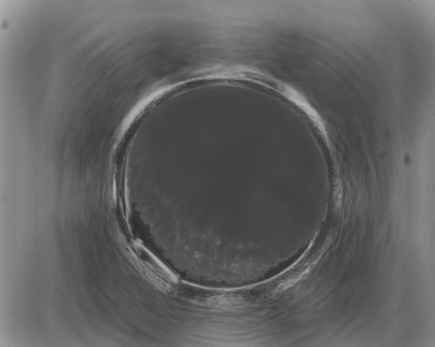 X0000085221368200703231522