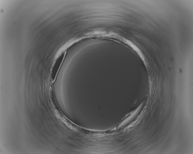 X0000085221373200703231521