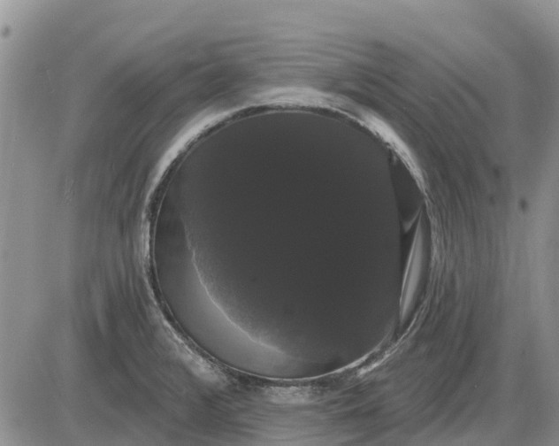 X0000085221376200703231521