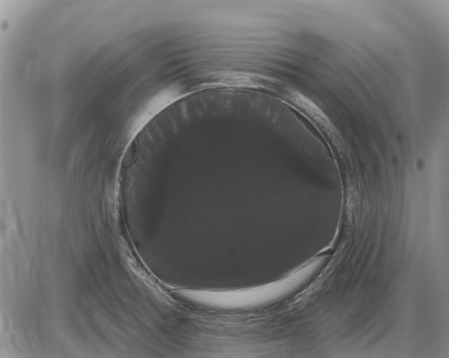 X0000085221378200703231521