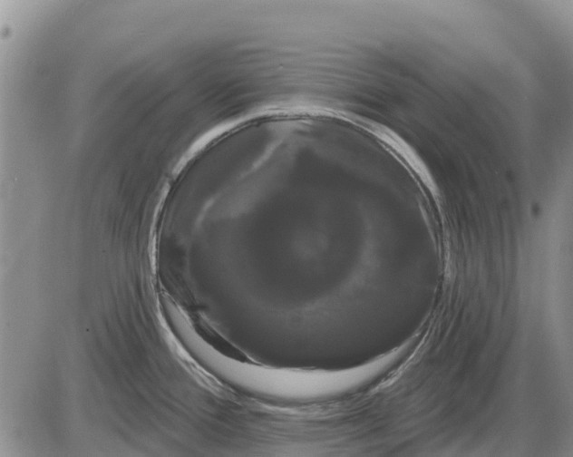 X0000085221388200703231521