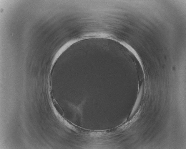 X0000085221389200703231521