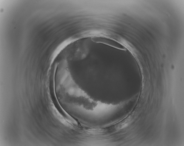 X0000085221392200703231521