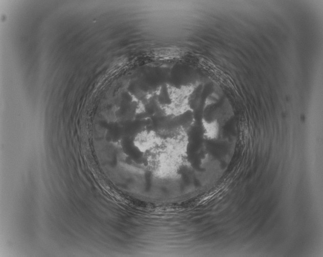 X0000085221393200703231520