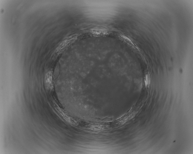 X0000085221396200703231520