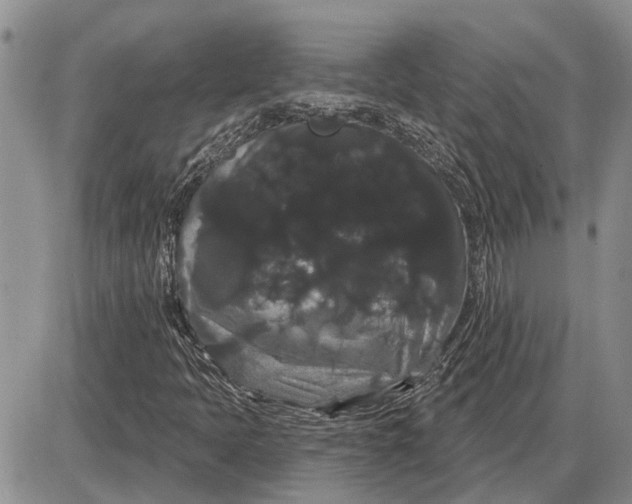 X0000085221397200703231520