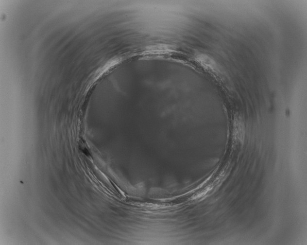 X0000085221401200703231520