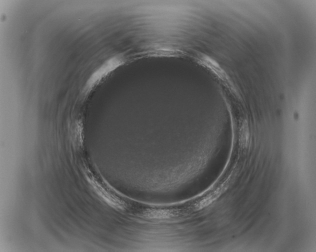 X0000085221402200703231520