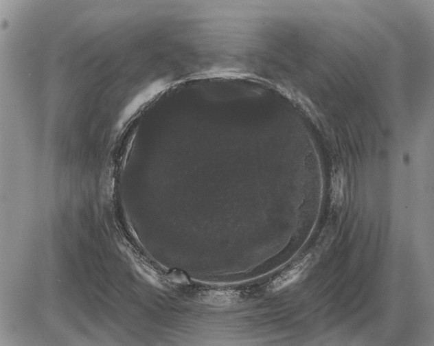 X0000085221406200703231521