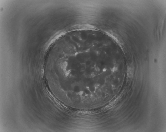 X0000085221407200703231521