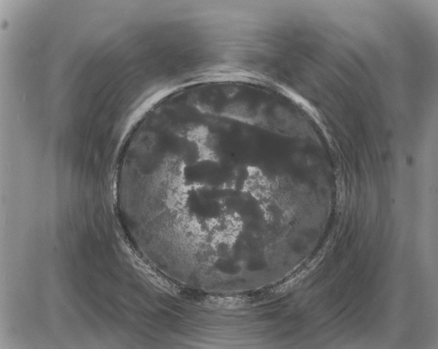 X0000085221415200703231521