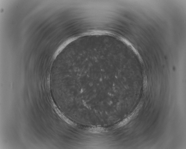 X0000085221417200703231521