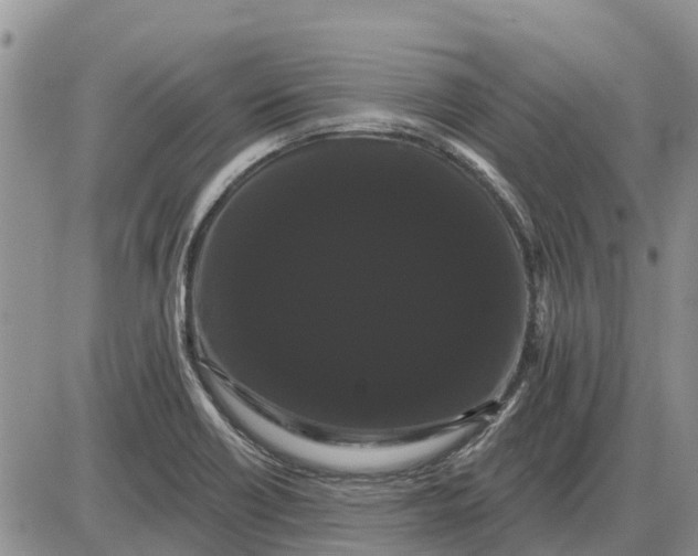 X0000085221418200703231521