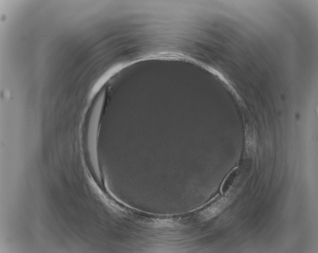 X0000085221422200703231521