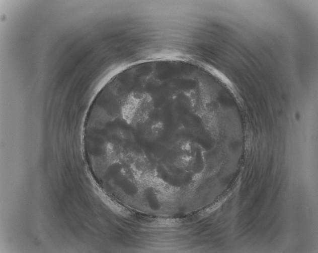 X0000085221423200703231521