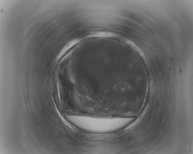 X0000085221425200703231521