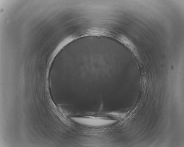 X0000085221427200703231521